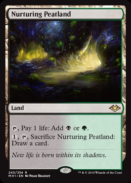 🔥 Nurturing Peatland Modern Horizons
